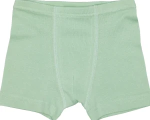 loud + proud Doppelpack Boxer aus Feinripp Pistacchio New